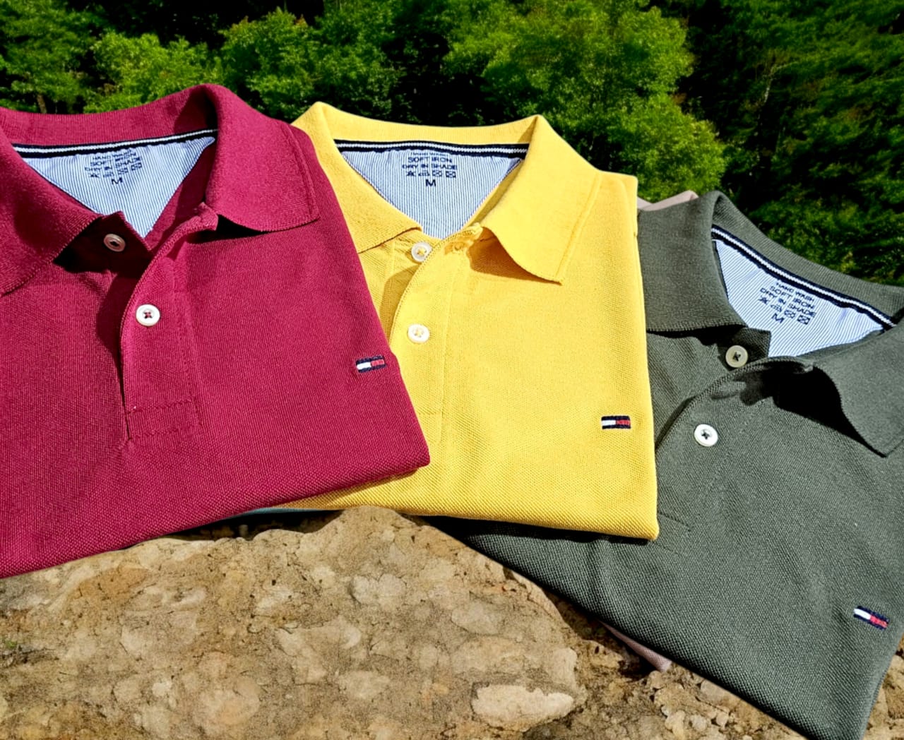 Polo Neck T-Shirt for Men (Multicolor, M) (Pack of 3)
