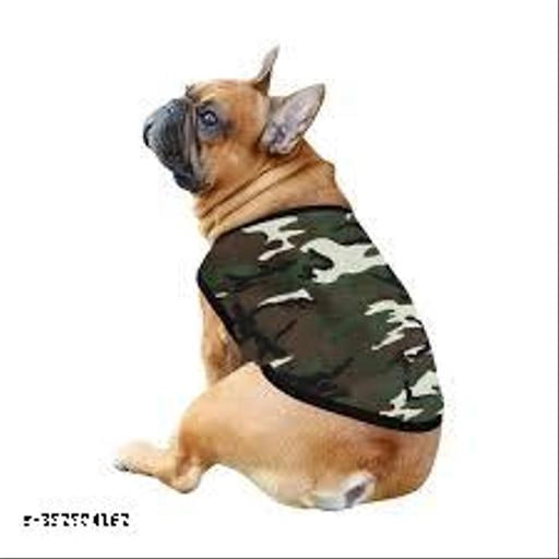 Woolen Coat for Dogs (Muticolor)