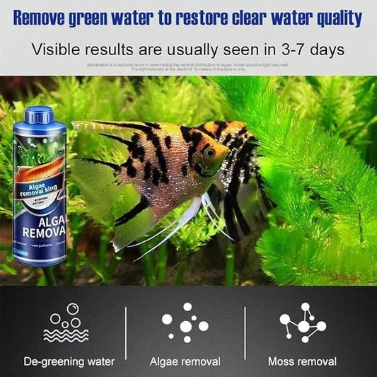 Algae Remover Fish Tank Removes Green Algae (Pack Of 1)