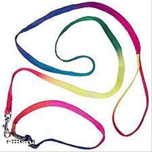 Nylon Harness with 5 Feet Leash for Dog (Multicolor, 0.15 inches) (Set of 1)