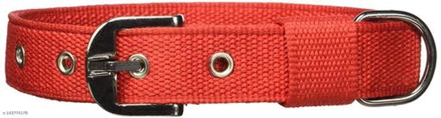 Neck Collar 0.5 mm Belt for Pet (Multicolor, M)