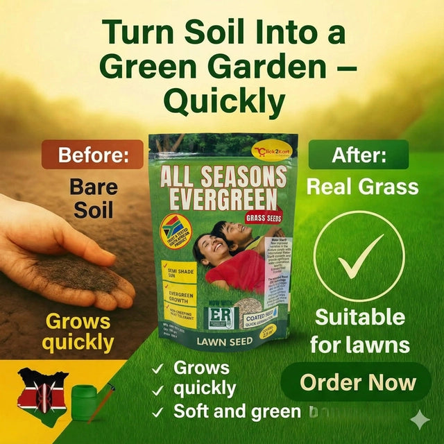 All Seasons every green gross seeds - For beautyfull green Lawn