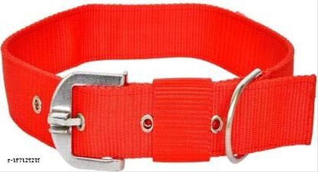 Nylon Padded Coller Neck Belt (Multicolor, 0.25 inches)