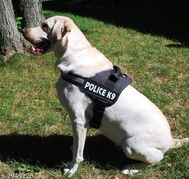 Nylon Body Harness for Dog (Multicolor, M)