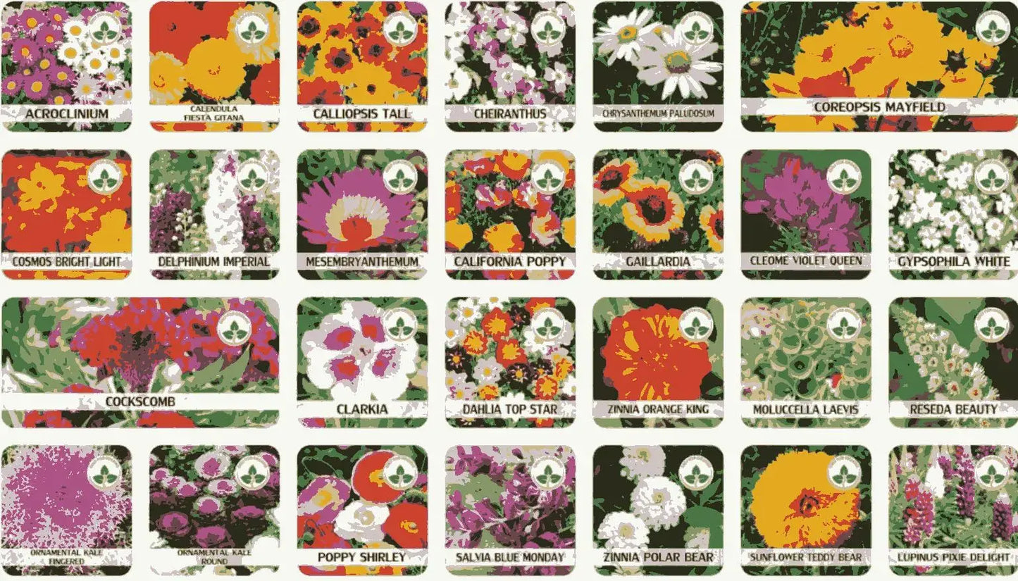 Varieties of Flower Seeds (Pack of 50)