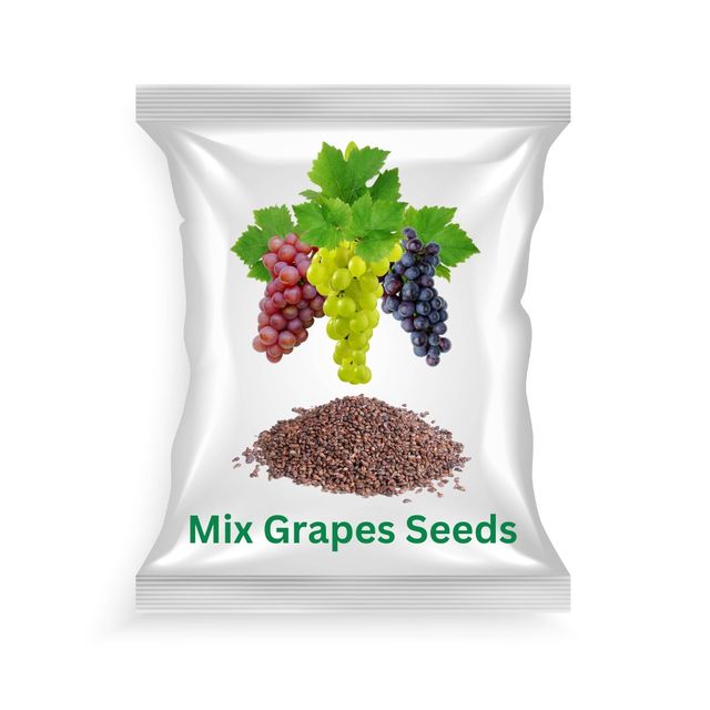 Vegetable Seeds (Mix Grapes Seeds) Tested and Packed for Home, Terrace and Kitchen Gardening