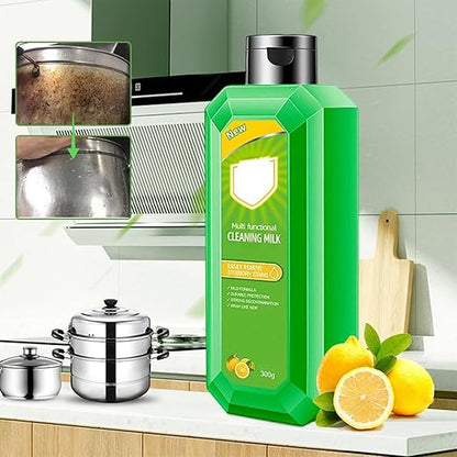 Powerful Multifunctional Cleaner 300 gm