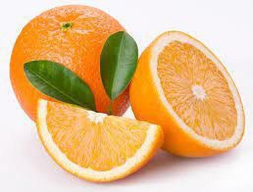 Seeds Hybrid Sweet Orange Plant