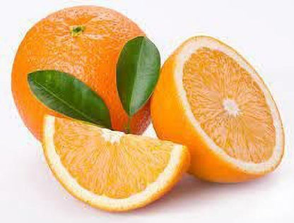 Seeds Hybrid Sweet Orange Plant