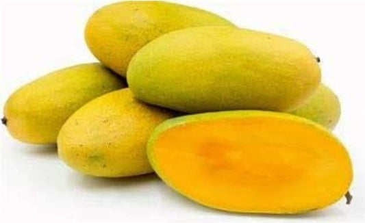 Seeds Dasheri Aam / Mango Plant