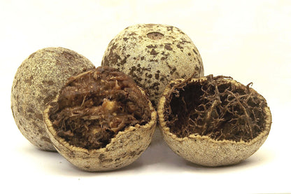 Seeds Thai Wood Apple Live Plant- Popular Among Indian/Bengali Street Food