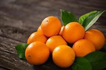 Seeds Hybrid Sweet Orange Plant