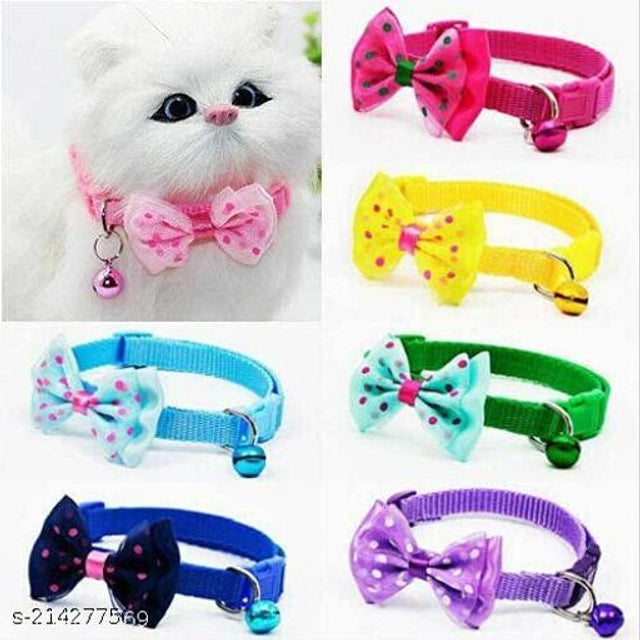 ABS Plastic Coller Belt for Pet (Multicolor, Pack of 2)