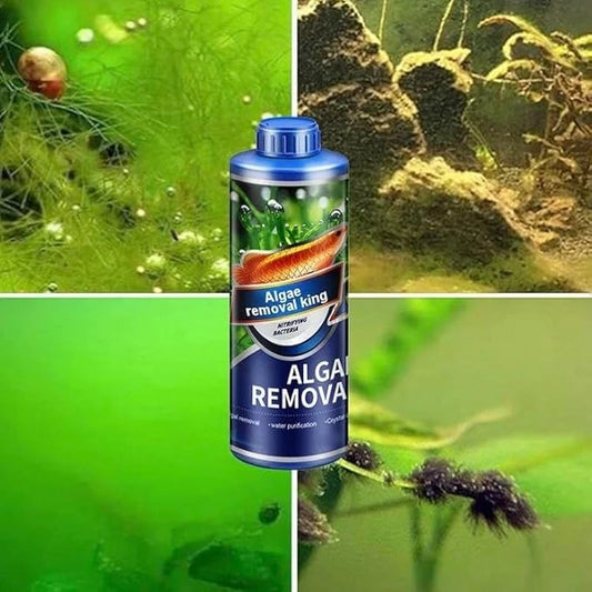 Algae Remover Fish Tank Removes Green Algae (Pack Of 1)