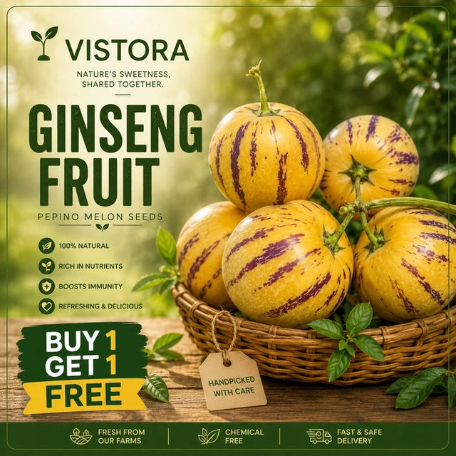 🍈 Buy 1 Get 1 Free 🍈 GINSENG FRUIT PEPINO MELON SEEDS