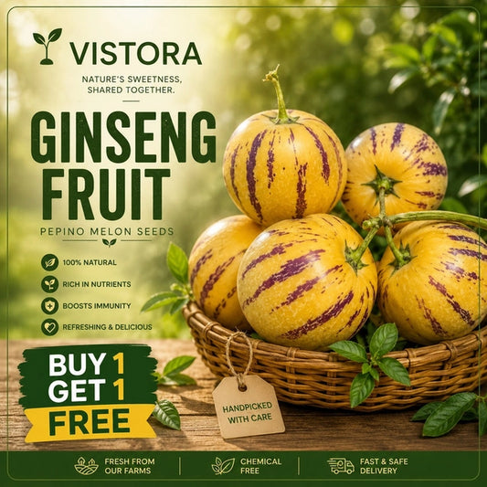 🍈 Buy 1 Get 1 Free 🍈 GINSENG FRUIT PEPINO MELON SEEDS