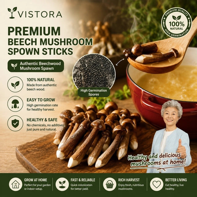 Premium Organic Mushroom Harvest Grow Kit Seeds – Buy 1 Get 1 Free