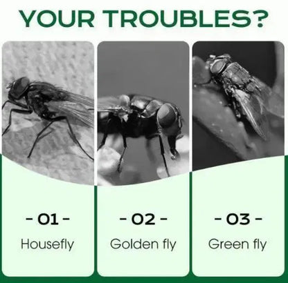 Multi-Scene Fast-Acting Fly Killer (Pack of 2)