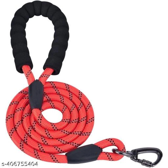 Nylon Rope Training Leash for Dog (Multicolor, L)