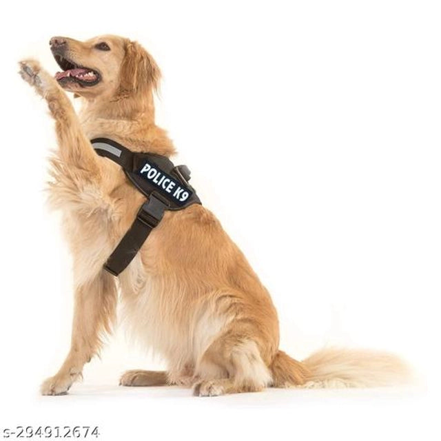 Nylon Body Harness for Dog (Multicolor, M)