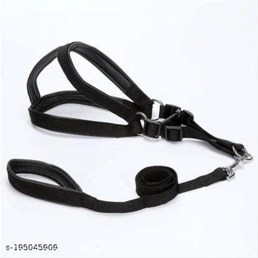 Fabric Harness with 5 Feet Leash for Dog (Multicolor, 0.5 inches) (Set of 1)