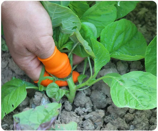 KPS Silicone Thumb Knife, Kitchen Garden Finger Cutter Tool for Quickly Cutting Vegetables Plant,  (Set of 1)