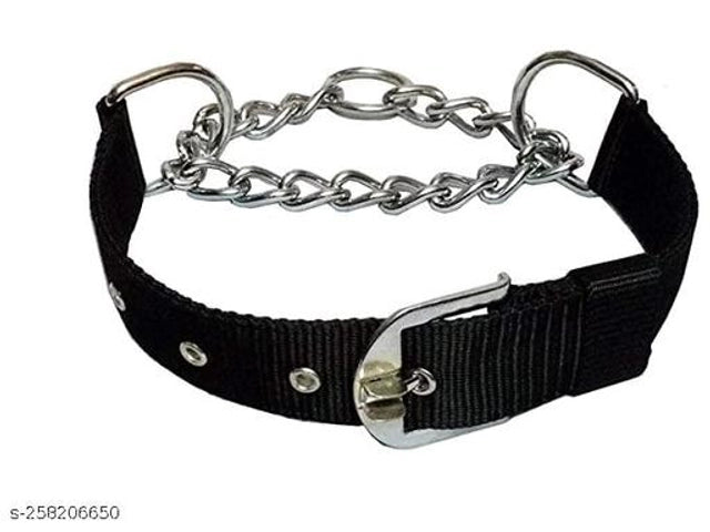 Coller Belt for Pet (Multicolor, L)