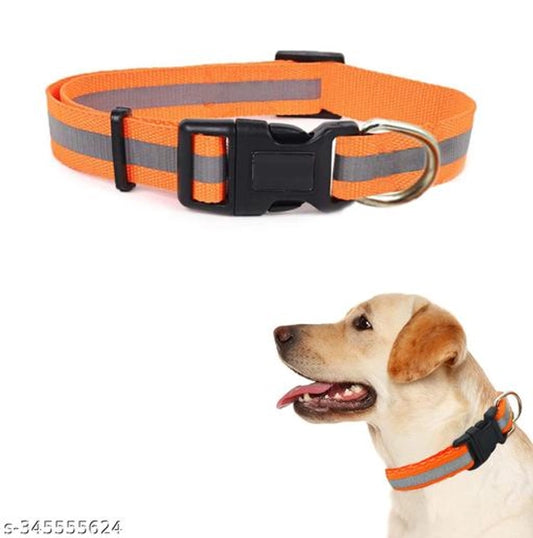 Neck Coller 0.5 inches Belt for Dog (Multicolor, M)